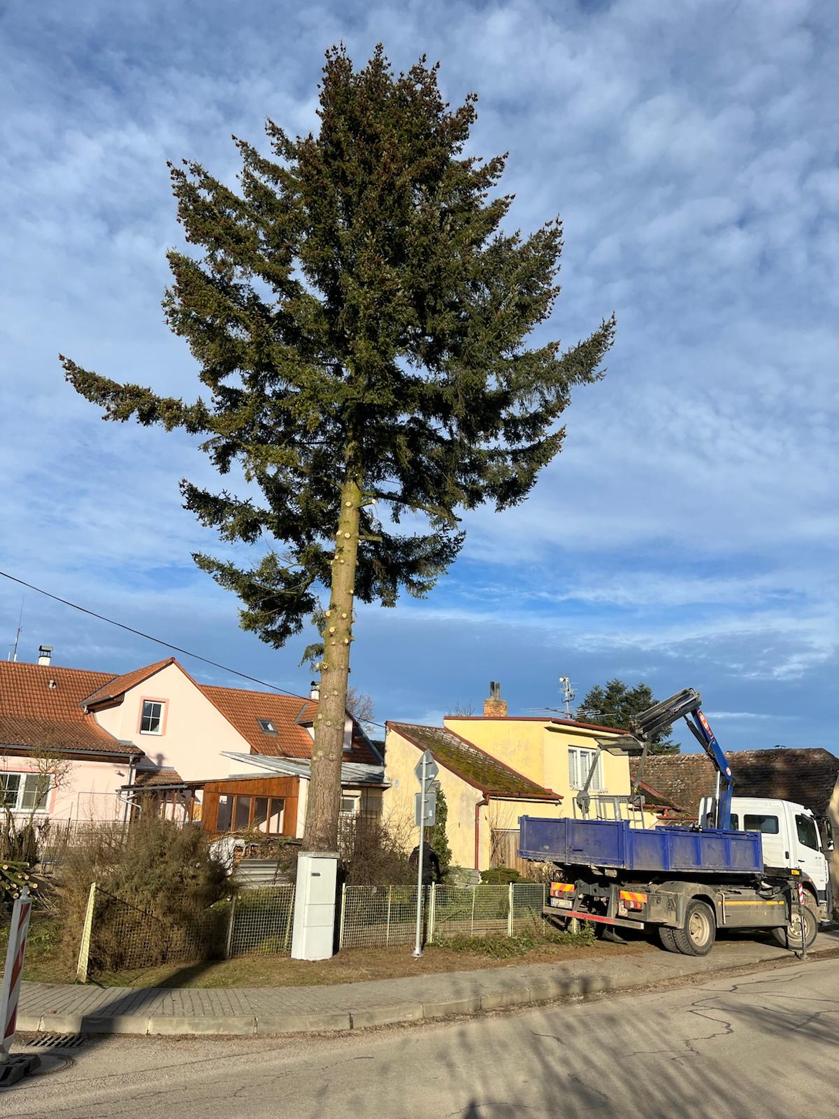 Hlavní obrázek Kácení stromu v Menharticích